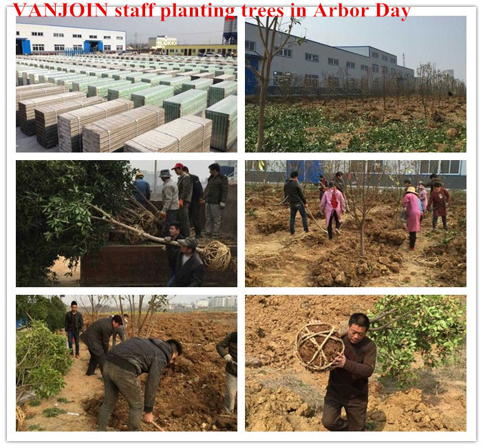VANJOIN Tree-Planting Activities on Arbor Day