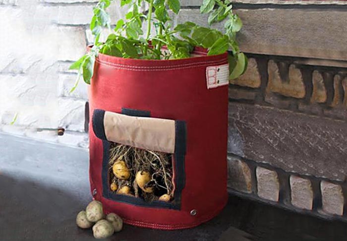 Home Gardening Potato Non-woven Planting Bucket